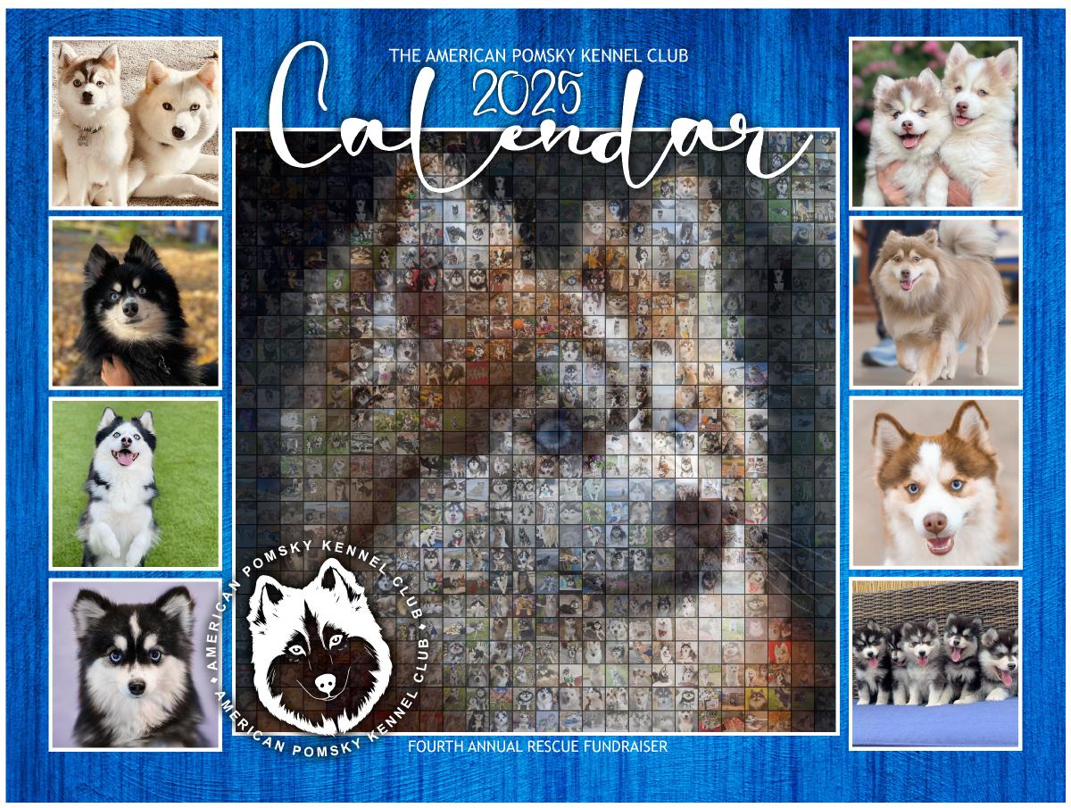2025 APKC Calendar-Pomsky Rescue Fundraiser