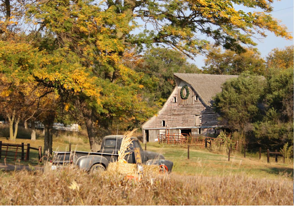 Fall Howard County