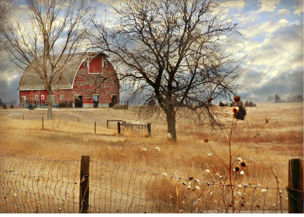 Fall Adams County