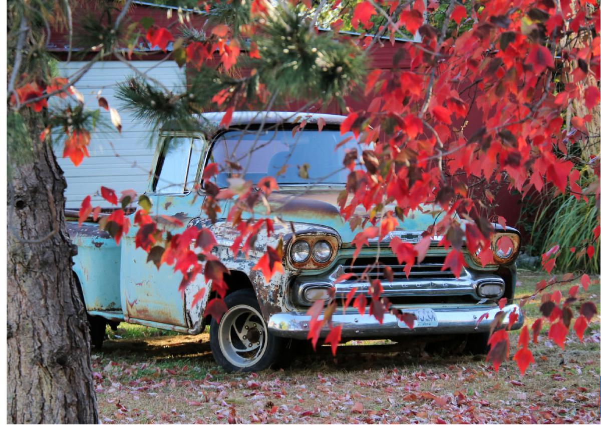 Fall Hall County