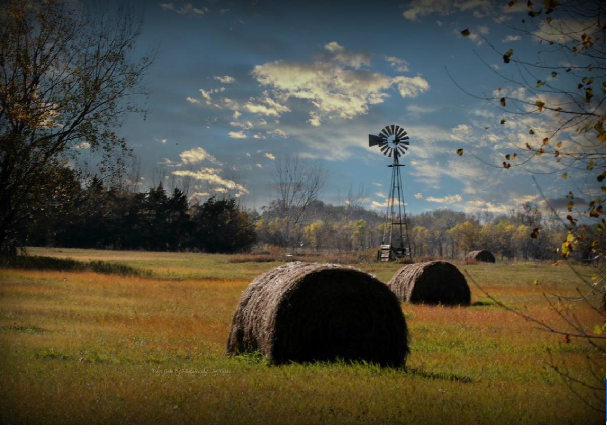 Fall Hall County