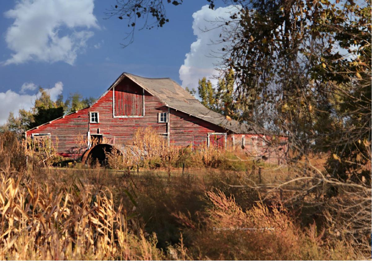 Fall Franklin County