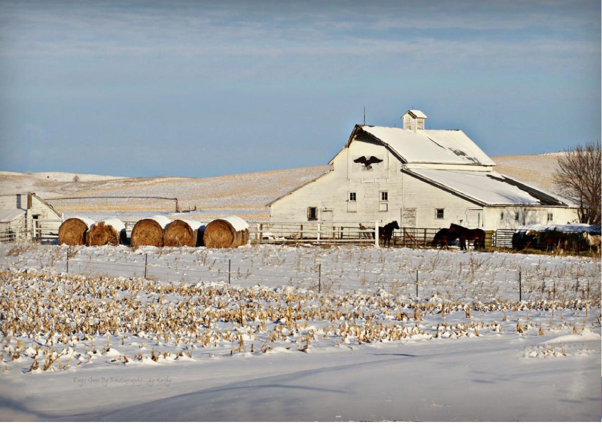 Winter Custer County