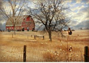 Fall Adams County