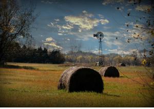 Fall Hall County