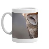 Friends of RNWR Barn Own mug